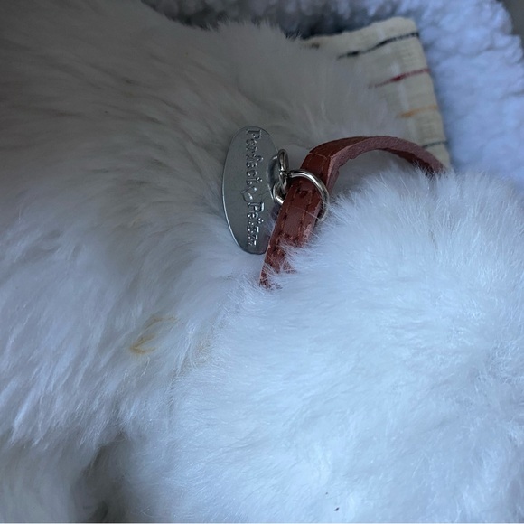 Perfect Petzz Poodle Bundle - Picture 5 of 8